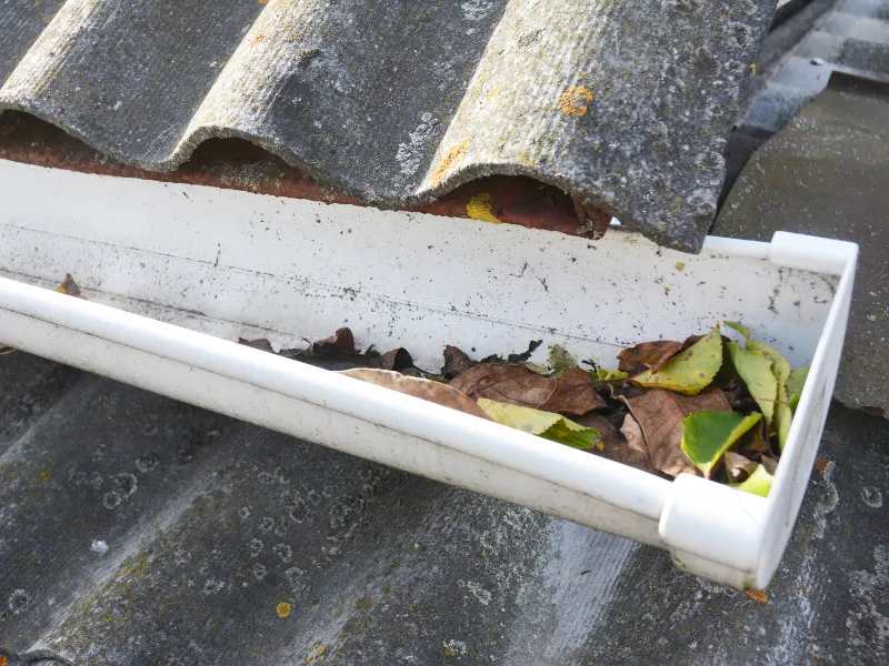 nettoyage de toiture plourin les morlaix